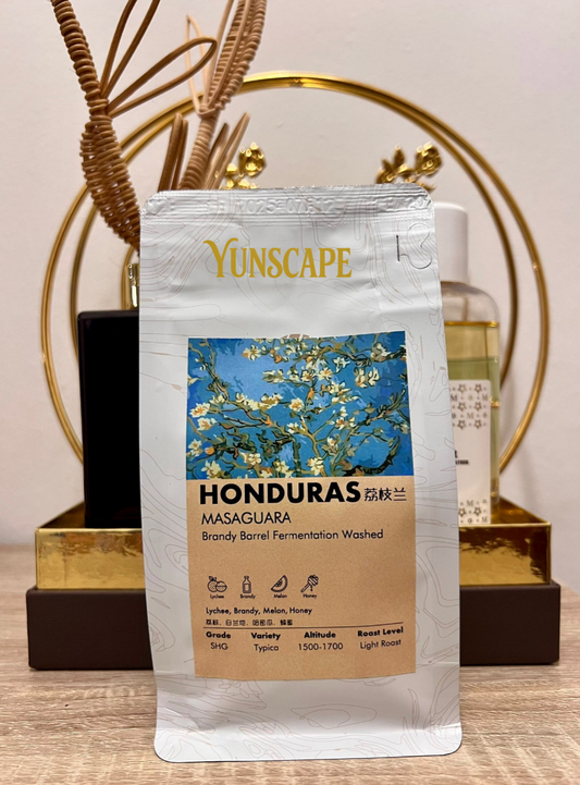 A1-005 Exquisite Honduras Drip Coffee Bag - Masaguara